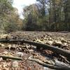 Middle fork scenery