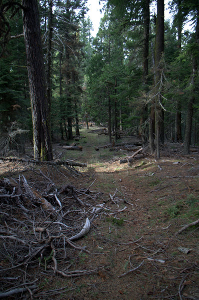 The trail follows Lone Pine Ridge to the PCT