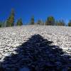 The field of shale boulders along the Nannie Creek Trail.