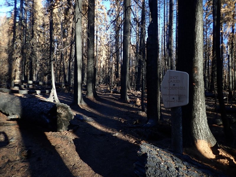 The Cold Springs Trail at the wilderness boundary, showing the impact of the 2017 North Pelican Fire.