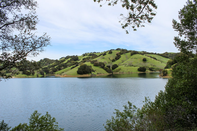 Briones Reservoir from Oursan Trail.