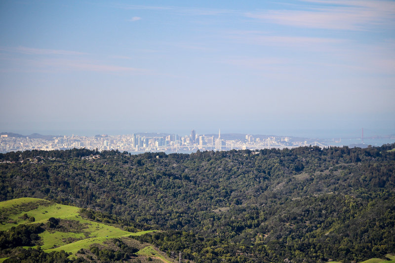 San Francisco skyline from Rocky Ridge