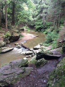 View down the trail/ of the Gunpowder Falls here on the trail.