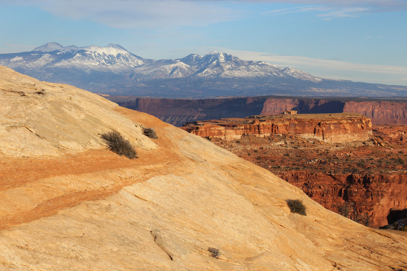 Lathrop Canyon Trail, Canyonlands NP, near the canyon rim just before the trail drops down into the canyon.