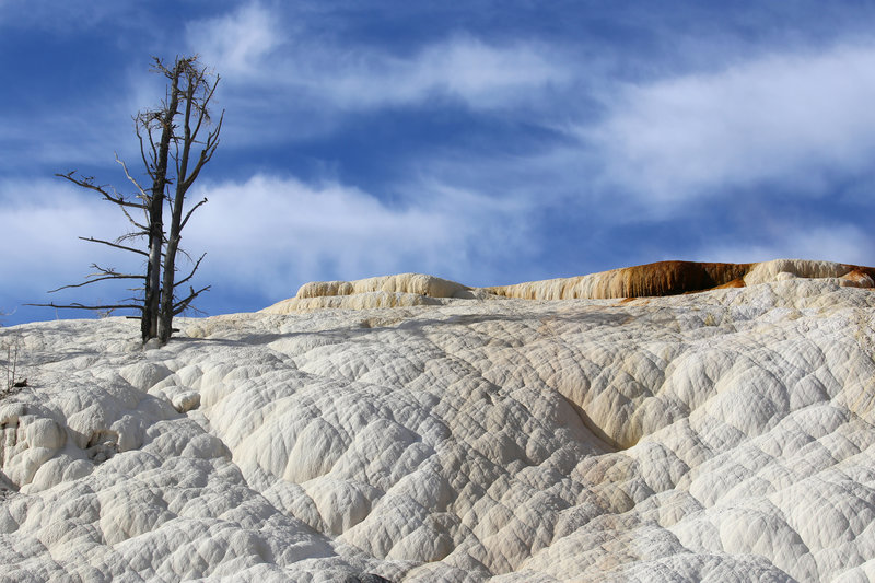 North end of Mammoth Hot Springs Terraces