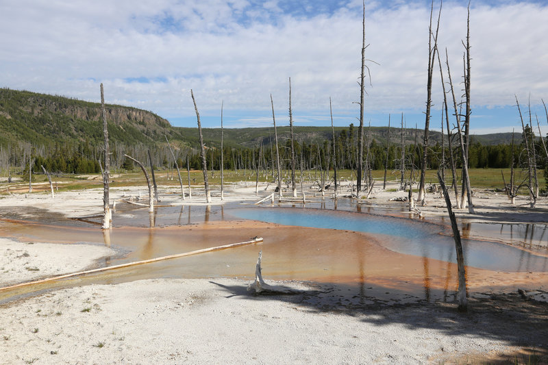 Opalescent Pool at Black Sand Basin, Yellowstone NP