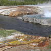 Cliff Geyser, Black Sand Basin, Yellowstone NP