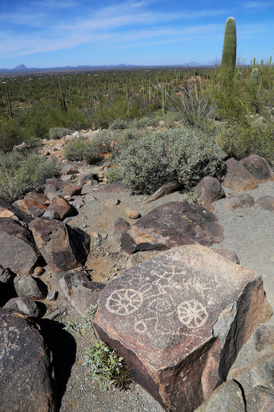 Petroglyphs at Signal Hill Saguaro National Park