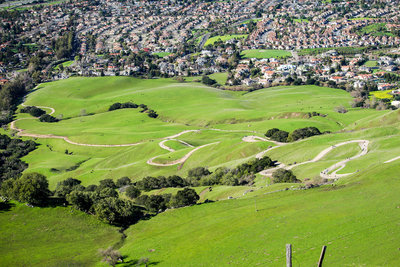 Winding Ohlone Wilderness Trail