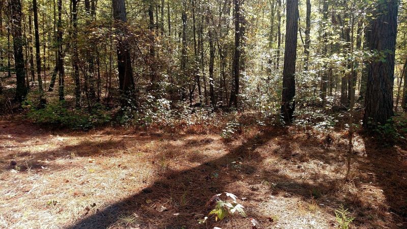 Beaver Pond Trail