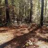 Beaver Pond Trail