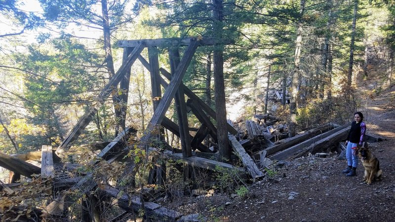 Remains of another railroad Trestle