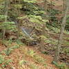 Laurel Falls, Garvey Spring Trail.