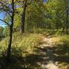 Climb a short ridge for rewarding views of the Mackinaw River.