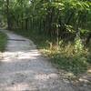 Unmarked trail intersection on the Oak and Hickory Upland Trail