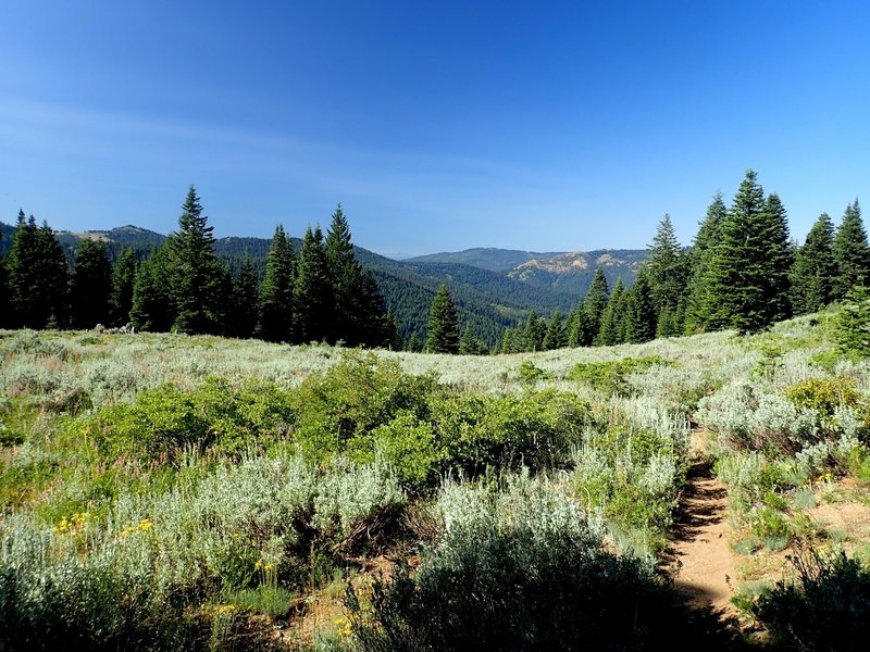 Looking west from Wagner Glade Gap