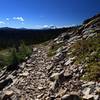 Along the Divide Trail, with Mount McLoughlin in the distance