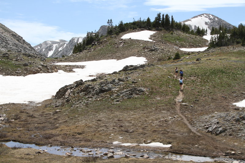 Shelf Lakes Trail, a short distance beyond the lakes. Photo from early July.