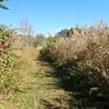 Dock Road Trail