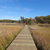 Crabbing Bridge boardwalk