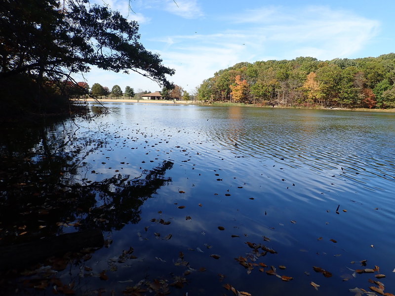 Hook's Lake (looking at beach area)