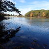 Hook's Lake (looking at beach area)