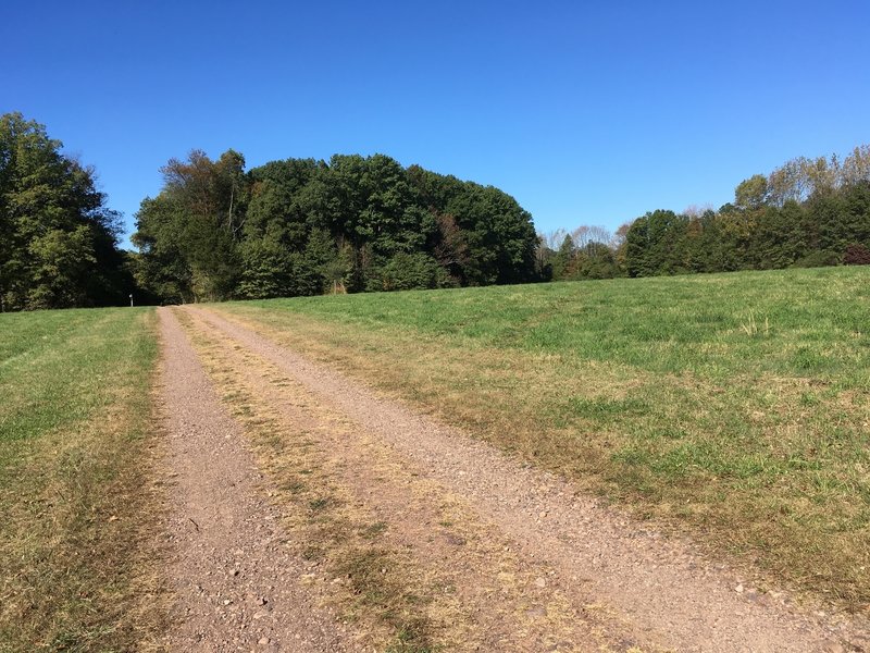 Lehigh Lane crossing the fields