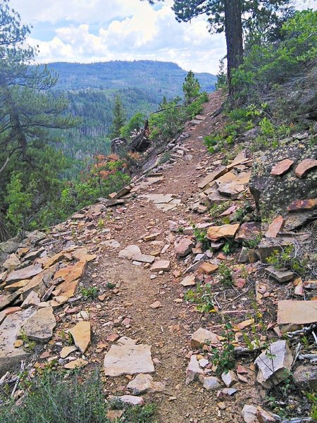 Rolling along the ridge on the Mancos Rim Trail