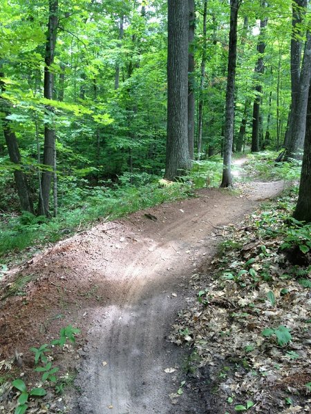 Linked berms on Twilight Zone.