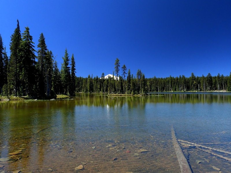 Mount McLoughlin from the north end of Island Lake