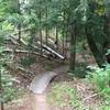 Gently bermed bridge under the hemlocks as Inner Peace Loop joins Center Creek.