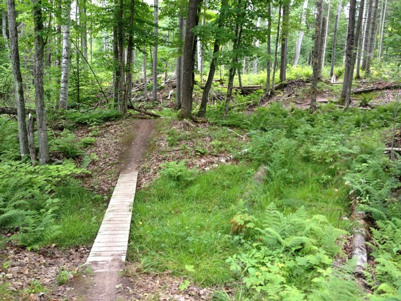 Narrow crossing bridge on Hillside Trail.