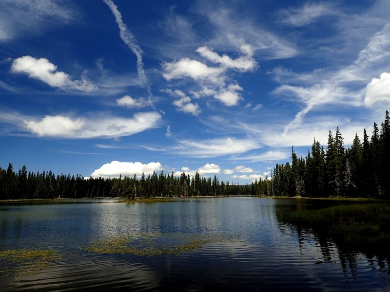 Island Lake from near the Judge Waldo Tree