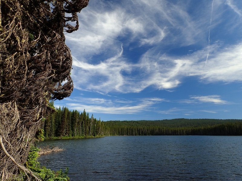 Squaw Lake (near Fourmile Lake)