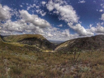 Views from the trail.