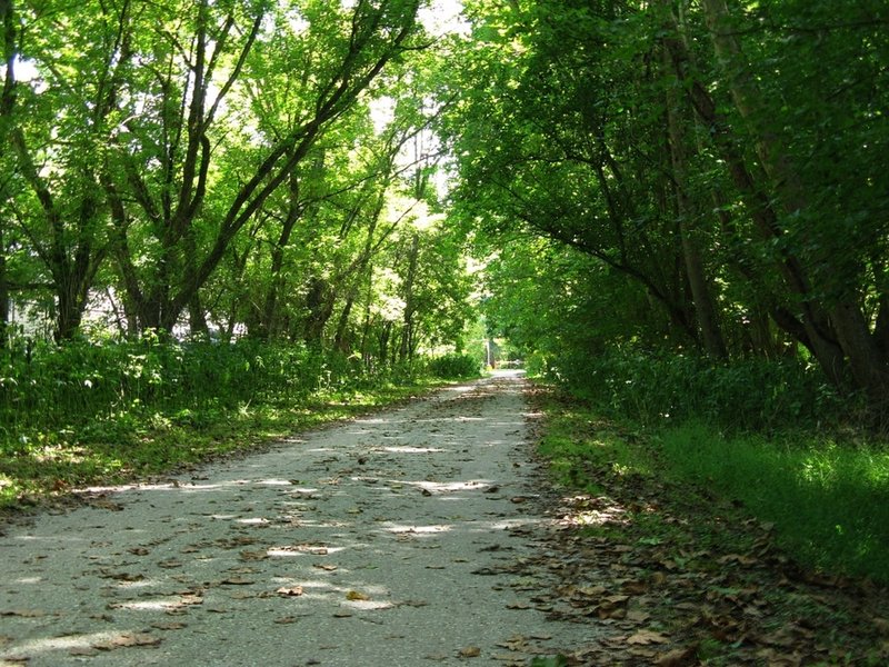 Torrey C. Brown Rail Trail.