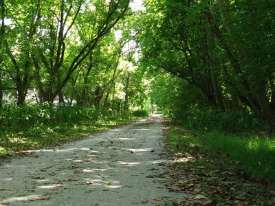Torrey C. Brown Rail Trail.