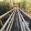 Footbridge over Big Snowbird Creek. Cross creek here to campsite with junction to Snowbird Alternate trail (64A).