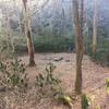 Campsite on Snowbird Creek Trail near Sassafras Creek.