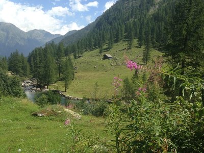 VOGNA RIVER : SMALL LAKE FORMED BY THE DAM