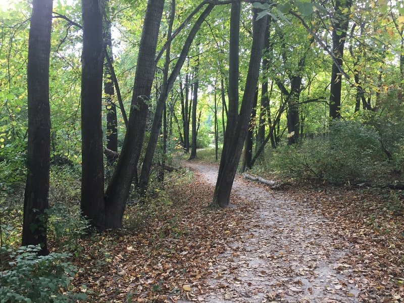 The first avenue loop facing east towards the trailhead