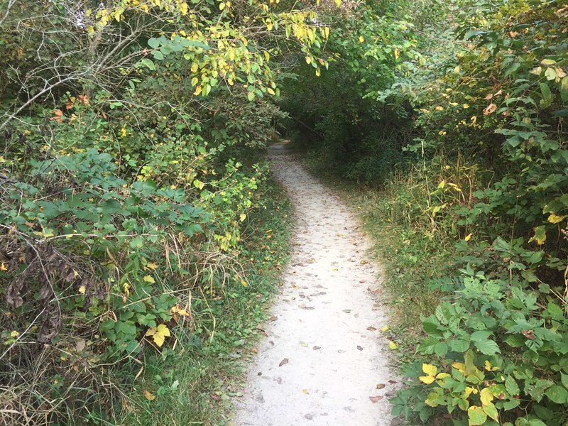 North section of the first avenue trail looking west