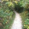 North section of the first avenue trail looking west