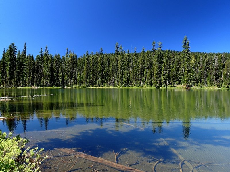 View of the very clear Beal Lake.