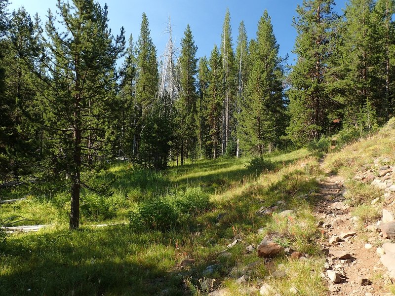 Along the Varney Creek Trail