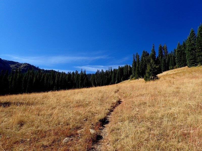 One of the big meadows in the Red Rock Valley