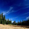 Meadows and forest in the Red Rock Valley