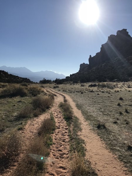 View looking back down the valley, La Sal mountains in the background.