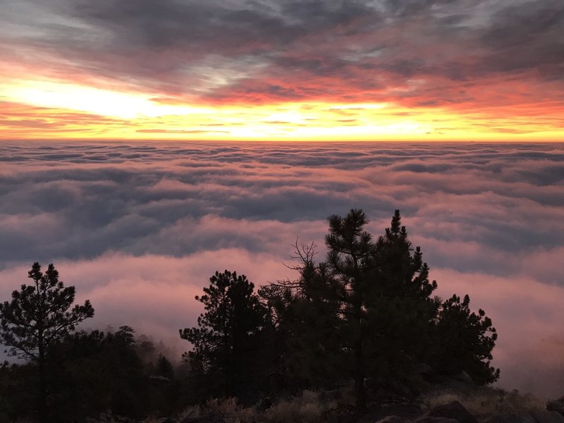 Sanicess Loop Mount Sanitas via Sunshine Lion's Lair Loop Running Trail, Boulder ...