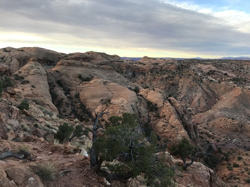 View from the top of the initial descent.